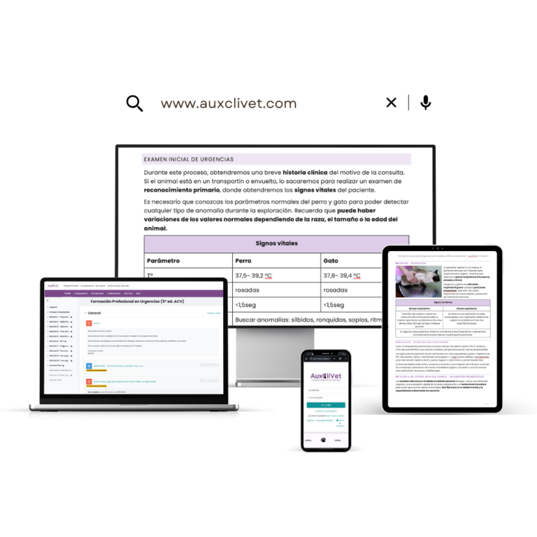 Curso de urgencias ATV, Cursos Auxiliar Técnico Veterinario, Formación Auxiliar Técnico Veterinario, Cursos Auxiliar Veterinario, Formación Auxiliar Veterinario, Cursos Auxiliar Clínico Veterinario, Especialidades Auxiliar Técnico Veterinario, Especialidades Auxiliar Veterinario, Formación Auxiliar Clínico Veterinario, Cursos Auxiliar de Veterinaria, Especialidades Auxiliar Clínico Veterinario, Formación Auxiliar de Veterinaria, Cursos Ayudante de Veterinaria, Especialidades Auxiliar de Veterinaria, Formación Ayudante de Veterinaria, Cursos Ayudante Veterinario, Especialidades Ayudante de Veterinaria, Formación Ayudante Veterinario, Especialidades Ayudante Veterinario, Cursos ATV, Formación ATV, Especialidades ATV, Cursos ACV, Formación ACV, Especialidades ACV